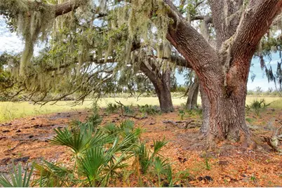 0 Carlton Lake Road, Wimauma, FL 33598 - Photo 3