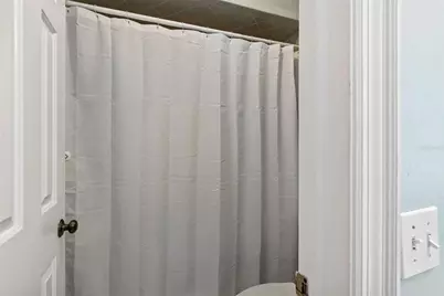 2417 W Jetton Avenue, Tampa, FL 33629 - Photo 43