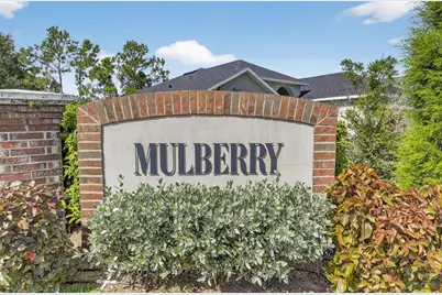 13531 Mango Bay Drive, Riverview, FL 33579 - Photo 59