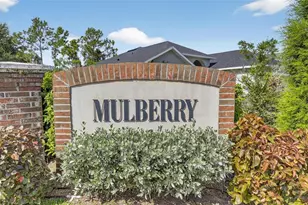 13531 Mango Bay Dr, Riverview, FL 33579 - Photo 59