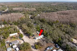 9342 Labelle St, New Port Richey, FL 34654 - Photo 19