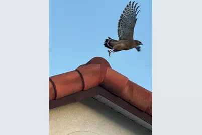 4054 Caddie Drive E, Bradenton, FL 34203 - Photo 43