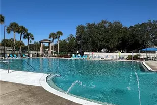1618 Citrus Orchard Way, Valrico, FL 33594 - Photo 25