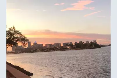 105 Chesapeake Avenue, Tampa, FL 33606 - Photo 3