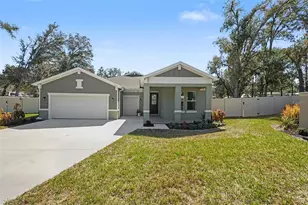 30008 Vienna Woods Ln, Wesley Chapel, FL 33545 - Photo 1