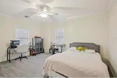 15929 Ternglade Drive, Lithia, FL 33547 - Photo 59