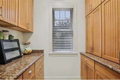 15929 Ternglade Drive, Lithia, FL 33547 - Photo 27