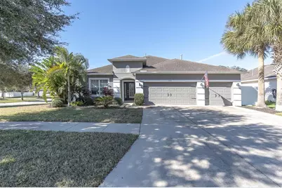 10223 Caraway Spice Avenue, Riverview, FL 33578 - Photo 1