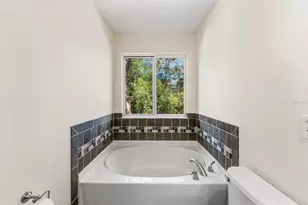 11646 Mango Ridge Blvd, Seffner, FL 33584 - Photo 23