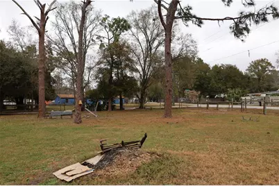 1133 Live Oak Lane, Lutz, FL 33549 - Photo 3