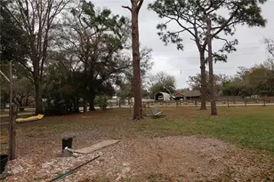 1133 Live Oak Ln, Lutz, FL 33549 - Photo 7