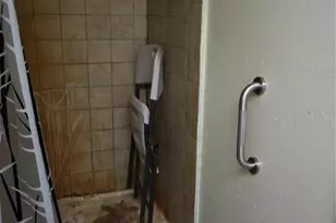 1133 Live Oak Ln, Lutz, FL 33549 - Photo 33