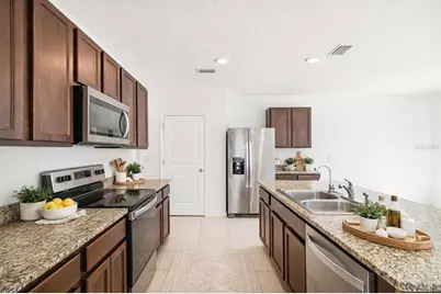 3072 Suncoast Plains Drive, Odessa, FL 33556 - Photo 19