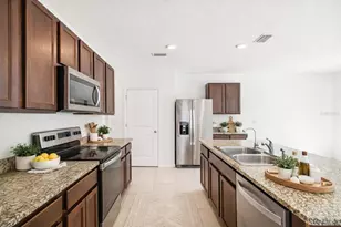 3072 Suncoast Plains Dr, Odessa, FL 33556 - Photo 19