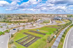 11130 Crescent Deer Dr, Land O Lakes, FL 34638 - Photo 37