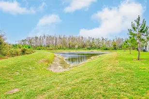 11130 Crescent Deer Dr, Land O Lakes, FL 34638 - Photo 41