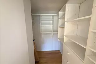 13516 Palmwood Ln, Tampa, FL 33618 - Photo 35