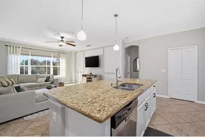 31520 Holcomb Pass, Wesley Chapel, FL 33543 - Photo 25