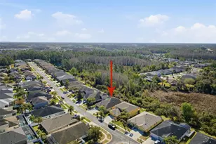 31520 Holcomb Pass, Wesley Chapel, FL 33543 - Photo 79