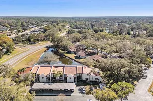 3505 Tarpon Woods Blvd, Palm Harbor, FL 34685 - Photo 35