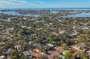 424 72nd St N, Saint Petersburg, FL 33710 - Photo 53