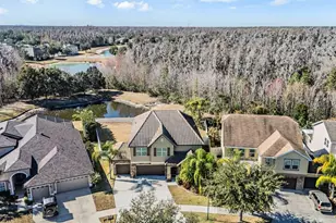 19230 Pepper Grass Dr, Tampa, FL 33647 - Photo 5