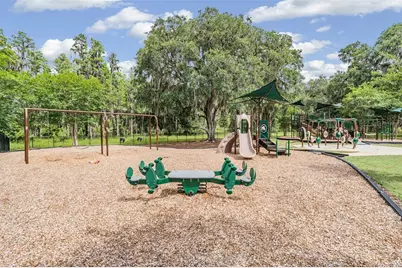 19230 Pepper Grass Drive, Tampa, FL 33647 - Photo 59