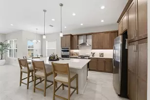 32616 Neroli St, Wesley Chapel, FL 33543 - Photo 9