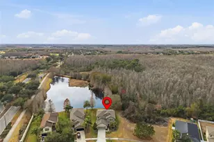 8553 Savory Walk Dr, Land O Lakes, FL 34637 - Photo 43