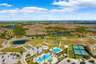 8553 Savory Walk Dr, Land O Lakes, FL 34637 - Photo 51