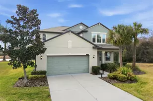 8553 Savory Walk Dr, Land O Lakes, FL 34637 - Photo 1