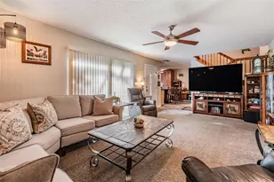 2634 10th Ct, Palm Harbor, FL 34684 - Photo 3