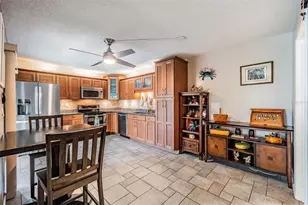 2634 10th Ct, Palm Harbor, FL 34684 - Photo 7