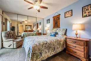 2634 10th Ct, Palm Harbor, FL 34684 - Photo 15