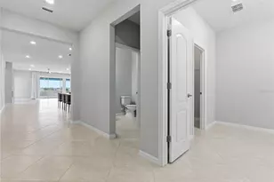 9539 Ibis Grove Blvd, Wesley Chapel, FL 33545 - Photo 25