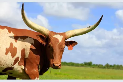 149 Horseshoe Bend, River Ranch, FL 33867 - Photo 9