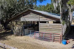 808 Old Welcome Rd, Lithia, FL 33547 - Photo 65