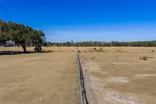 808 Old Welcome Rd, Lithia, FL 33547 - Photo 85