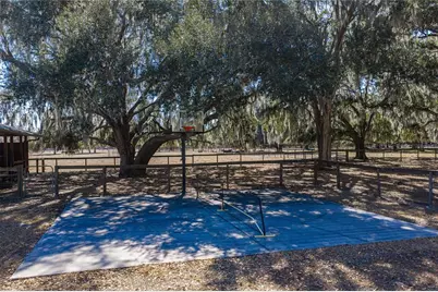 808 Old Welcome Road, Lithia, FL 33547 - Photo 51