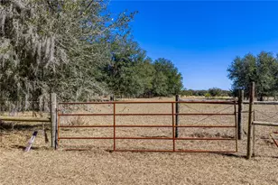 808 Old Welcome Rd, Lithia, FL 33547 - Photo 89