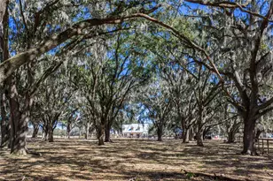 808 Old Welcome Rd, Lithia, FL 33547 - Photo 59