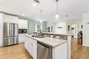 9003 Scott Wilson Ln, Odessa, FL 33556 - Photo 11