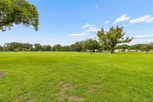 9003 Scott Wilson Ln, Odessa, FL 33556 - Photo 61