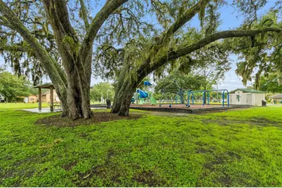 9003 Scott Wilson Lane, Odessa, FL 33556 - Photo 73