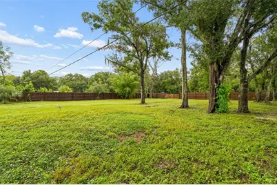 9003 Scott Wilson Lane, Odessa, FL 33556 - Photo 63