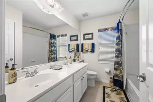 20817 Cedar Bluff Pl, Land O Lakes, FL 34638 - Photo 29