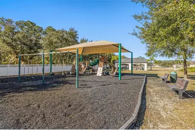 20817 Cedar Bluff Place, Land O Lakes, FL 34638 - Photo 41