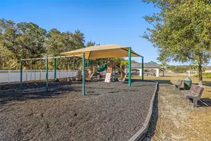 20817 Cedar Bluff Pl, Land O Lakes, FL 34638 - Photo 41