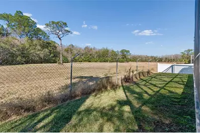 2328 Brinley Drive, Trinity, FL 34655 - Photo 63