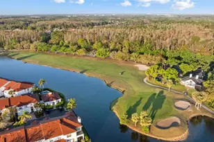 9617 Greenpointe Dr, Tampa, FL 33626 - Photo 63